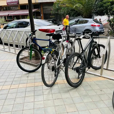 Palmar * تيرانا